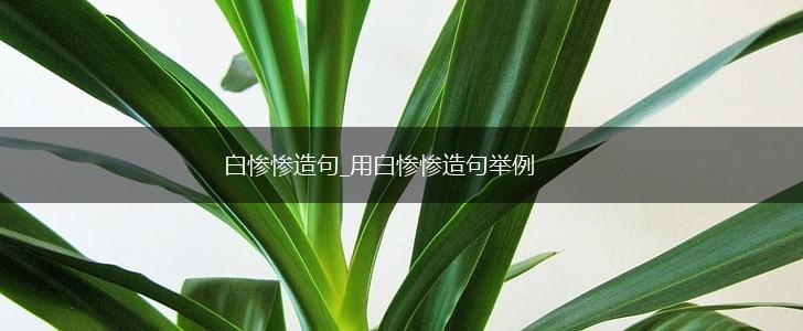 白惨惨造句_用白惨惨造句举例,第1张