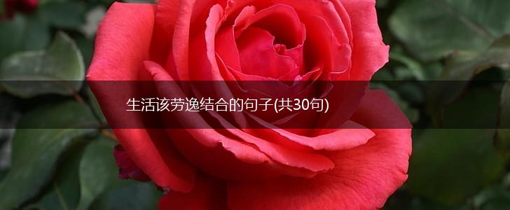 生活该劳逸结合的句子(共30句),第1张