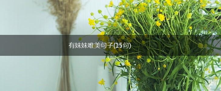 有妹妹唯美句子(15句),第1张