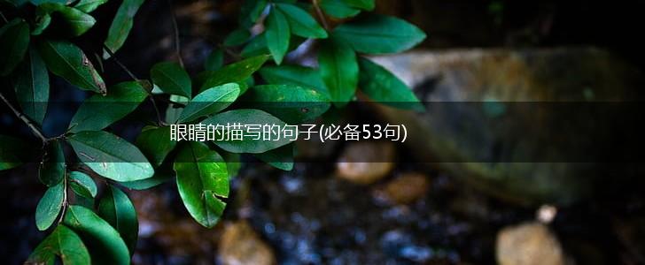 眼睛的描写的句子(必备53句),第1张