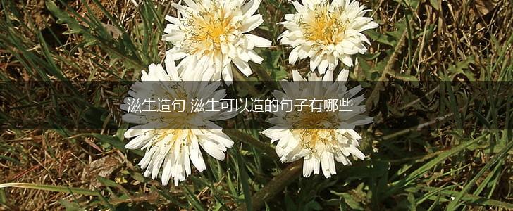 滋生造句 滋生可以造的句子有哪些,第1张 滋生造句 滋生可以造的句子有哪些,第1张