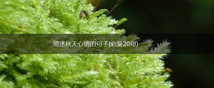 描述秋天心情的句子(必备20句),第1张