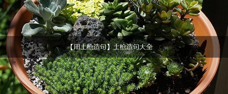 【用土枪造句】土枪造句大全,第1张
