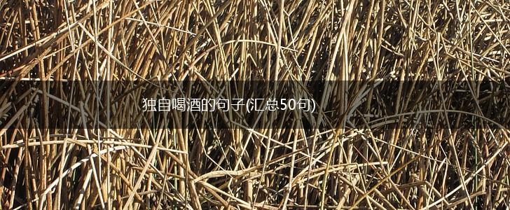 独自喝酒的句子(汇总50句),第1张