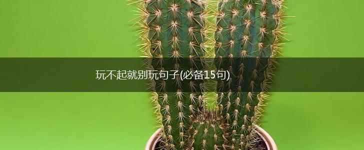 玩不起就别玩句子(必备15句),第1张