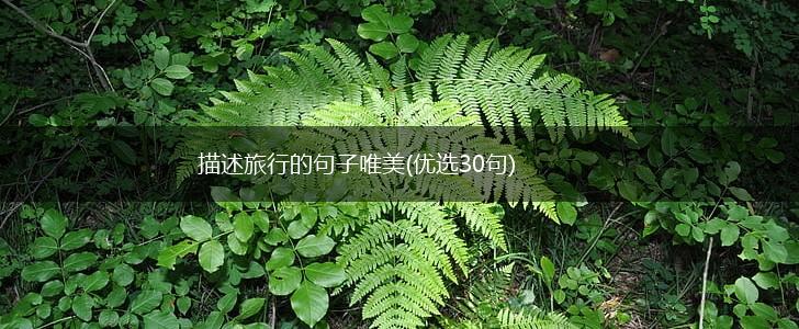 描述旅行的句子唯美(优选30句),第1张