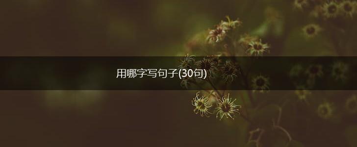 用哪字写句子(30句),第1张