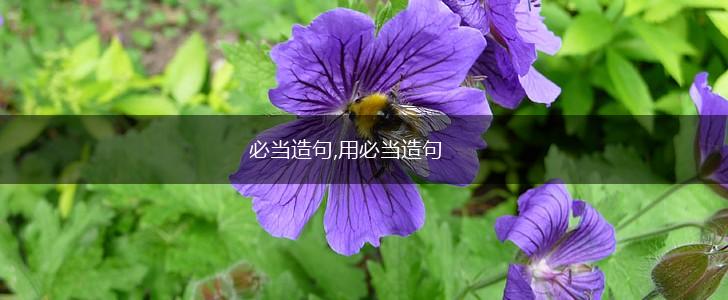 必当造句,用必当造句,第1张 必当造句,用必当造句,第1张