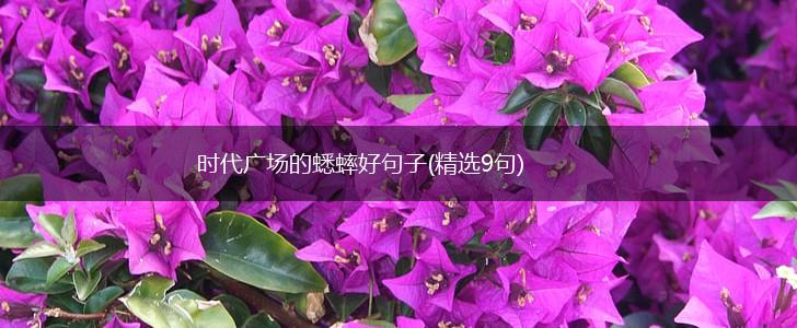 时代广场的蟋蟀好句子(精选9句),第1张