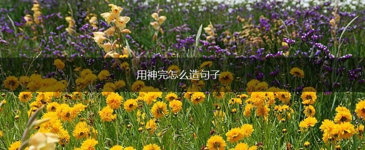 用神完怎么造句子,第1张 用神完怎么造句子,第1张