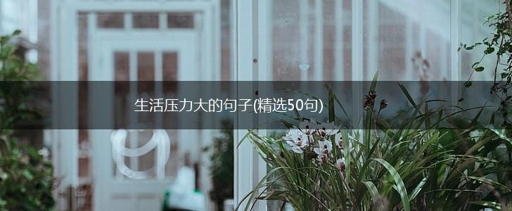生活压力大的句子(精选50句),第1张