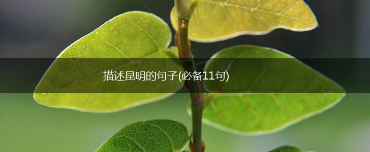 描述昆明的句子(必备11句),第1张