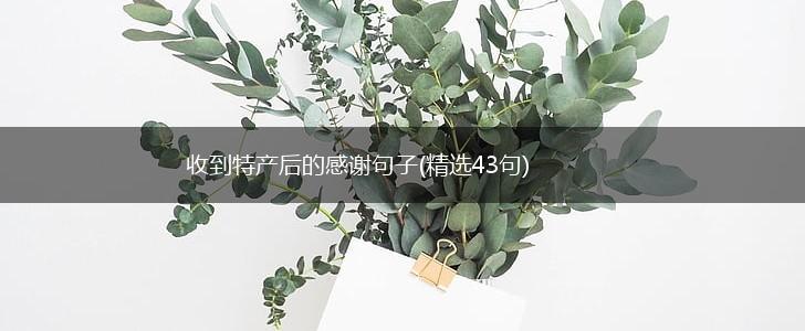 收到特产后的感谢句子(精选43句),第1张