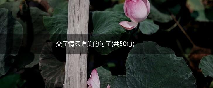 父子情深唯美的句子(共50句),第1张