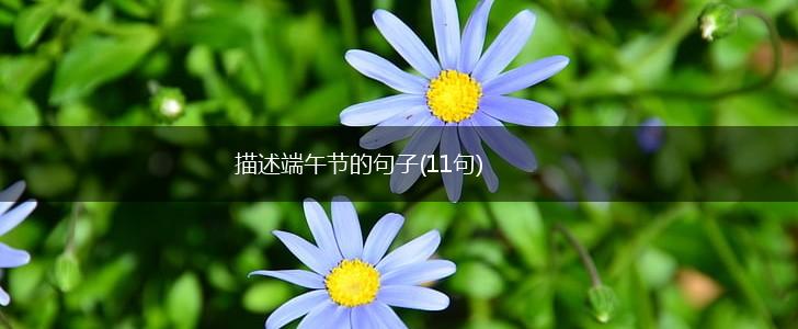 描述端午节的句子(11句),第1张
