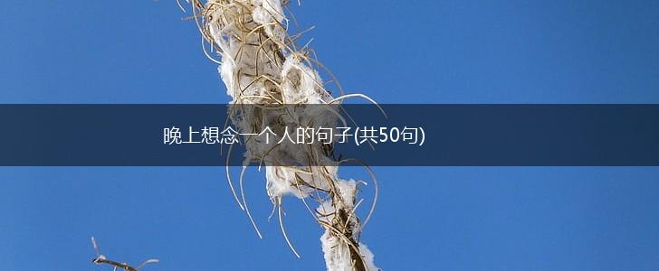 晚上想念一个人的句子(共50句),第1张