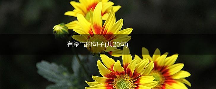 有杀气的句子(共20句),第1张