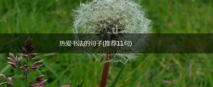 热爱书法的句子(推荐11句),第1张