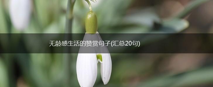 无龄感生活的赞赏句子(汇总20句),第1张
