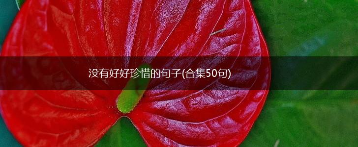 没有好好珍惜的句子(合集50句),第1张