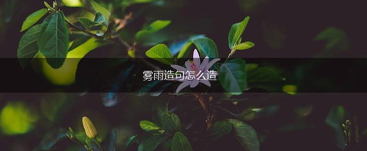 雾雨造句怎么造,第1张 雾雨造句怎么造,第1张