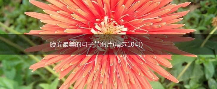 晚安最美的句子带图片(精选10句),第1张