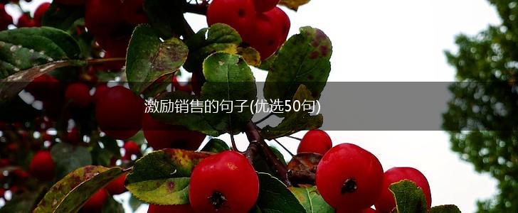 激励销售的句子(优选50句),第1张