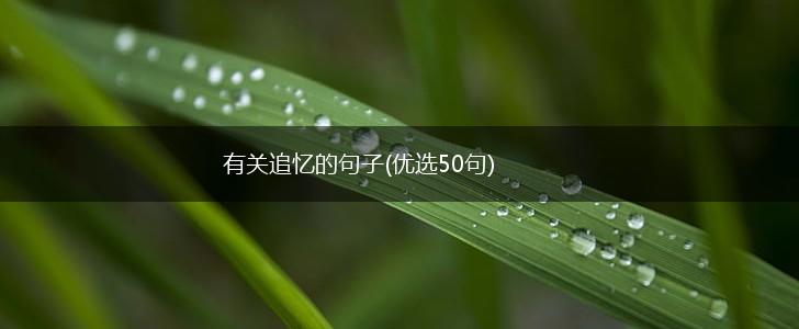 有关追忆的句子(优选50句),第1张