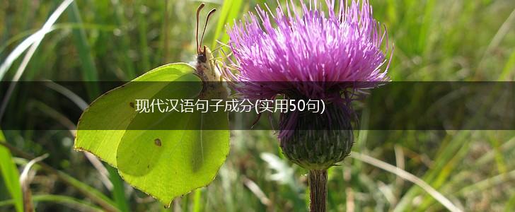 现代汉语句子成分(实用50句),第1张
