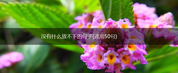 没有什么放不下的句子(通用50句),第1张