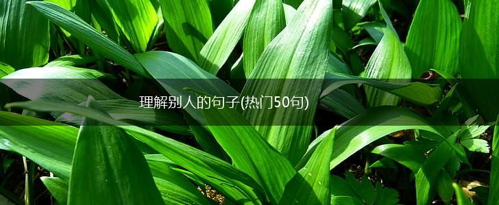 理解别人的句子(热门50句),第1张