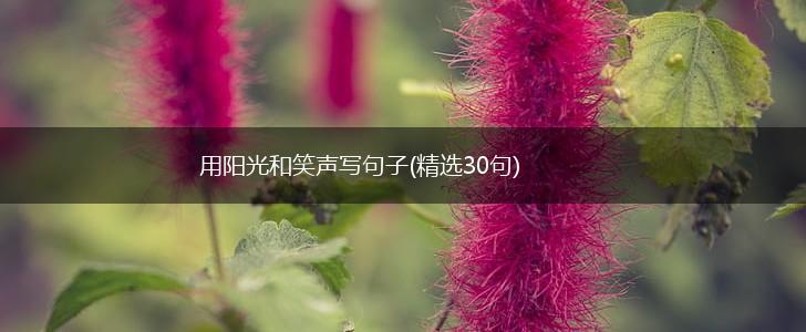 用阳光和笑声写句子(精选30句),第1张