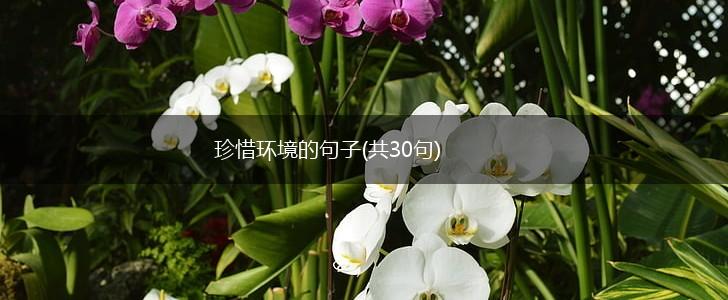 珍惜环境的句子(共30句),第1张