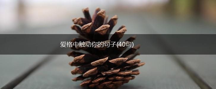 爱格中触动你的句子(40句),第1张