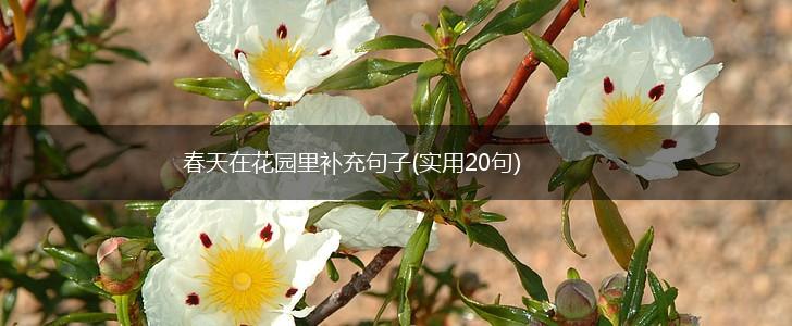 春天在花园里补充句子(实用20句),第1张