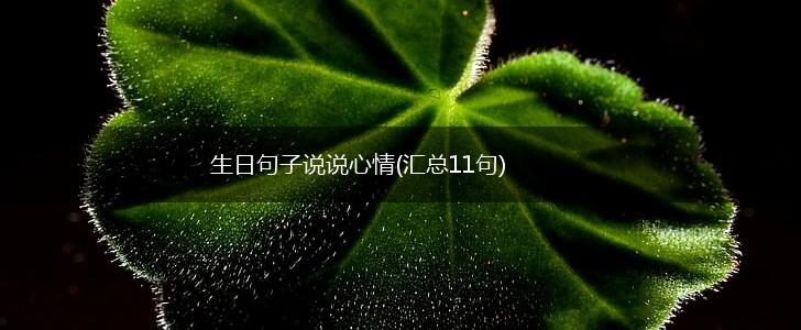 生日句子说说心情(汇总11句),第1张