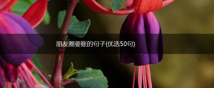 朋友圈要账的句子(优选50句),第1张