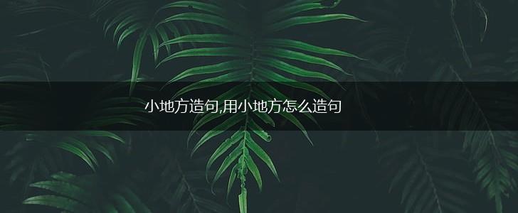小地方造句,用小地方怎么造句,第1张