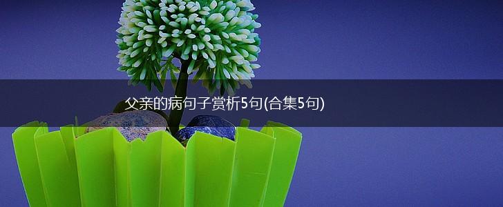 父亲的病句子赏析5句(合集5句),第1张
