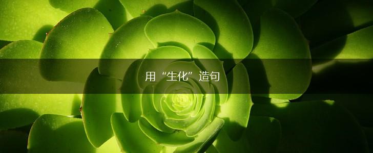 用“生化”造句,第1张 用“生化”造句,第1张