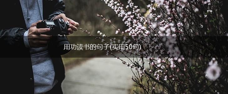 用功读书的句子(实用50句),第1张