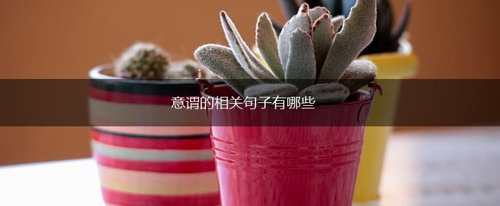 意谓的相关句子有哪些,第1张