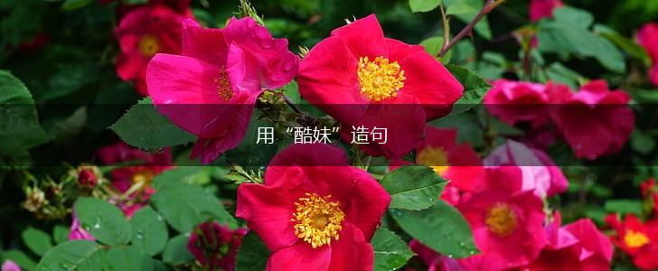 用“酷妹”造句,第1张