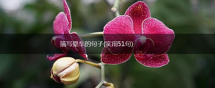 描写晕车的句子(实用51句),第1张