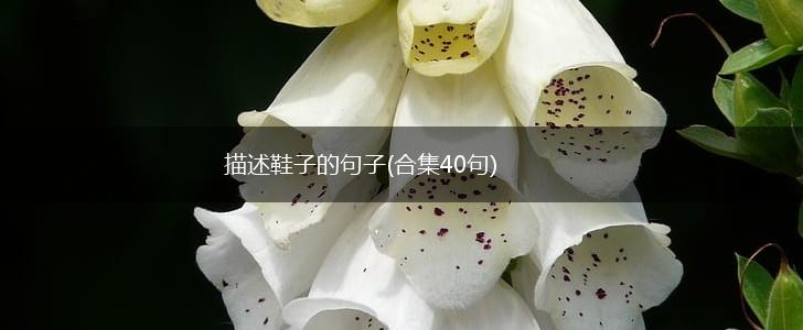 描述鞋子的句子(合集40句),第1张