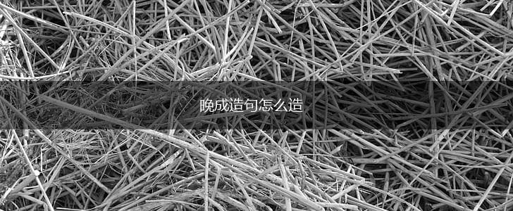 晚成造句怎么造,第1张