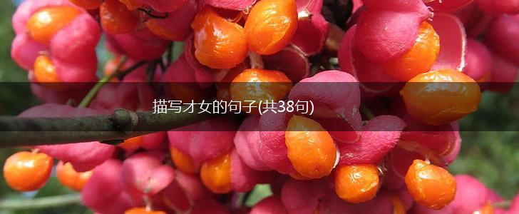 描写才女的句子(共38句),第1张