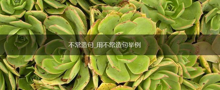 不常造句_用不常造句举例,第1张