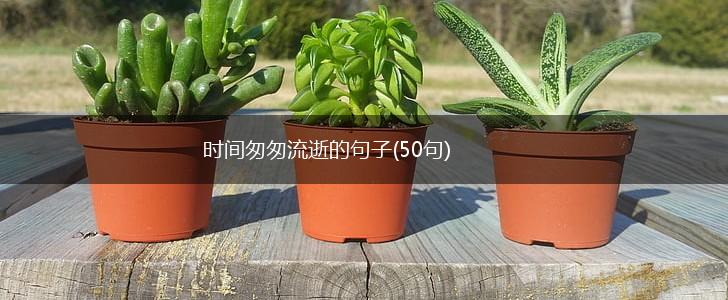 时间匆匆流逝的句子(50句),第1张