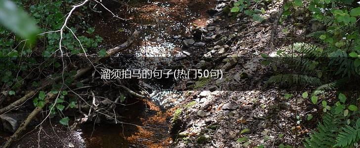 溜须拍马的句子(热门50句),第1张